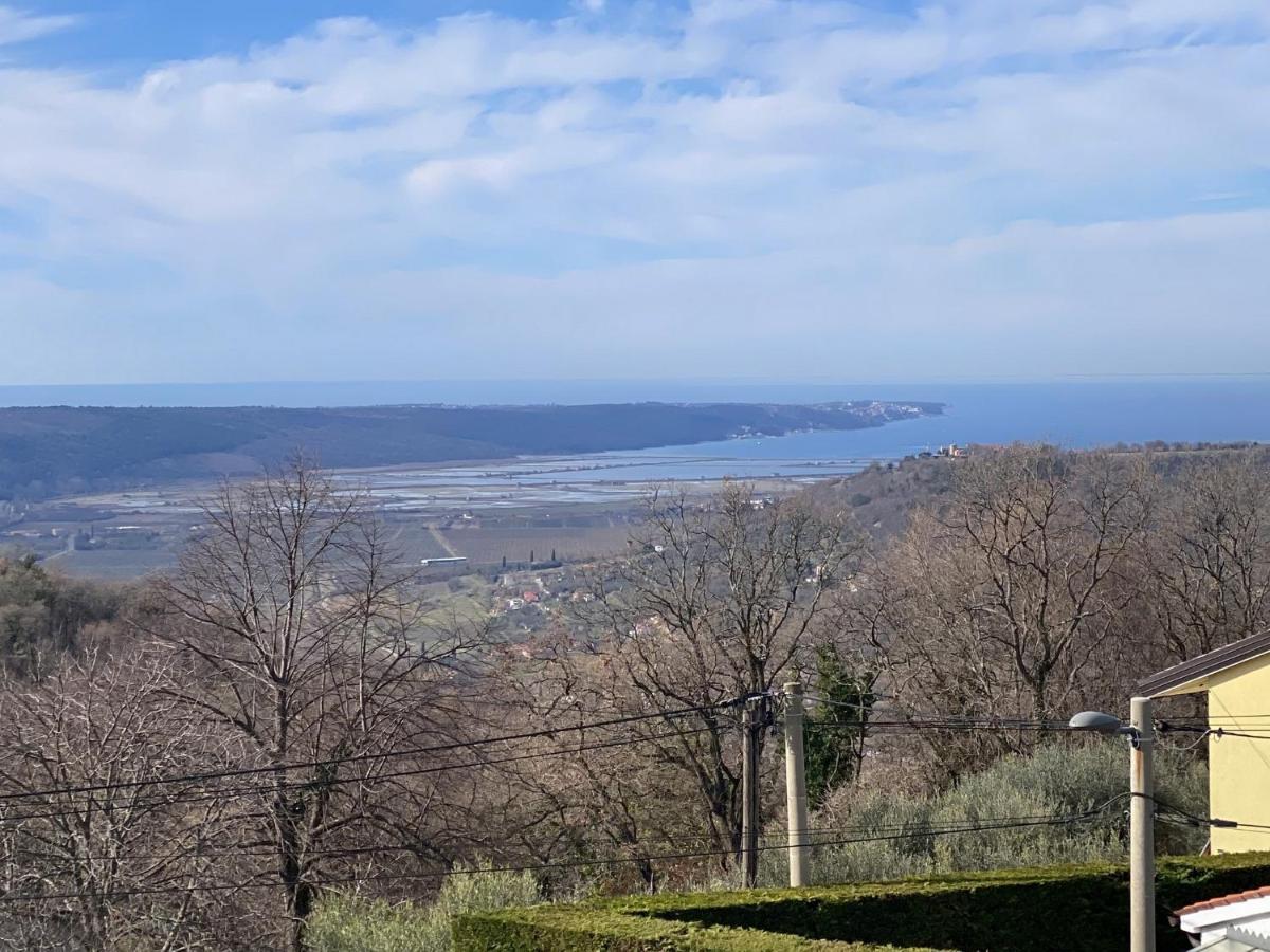 Sea View Istrian Countryside Apartment - Rota Dragonja المظهر الخارجي الصورة