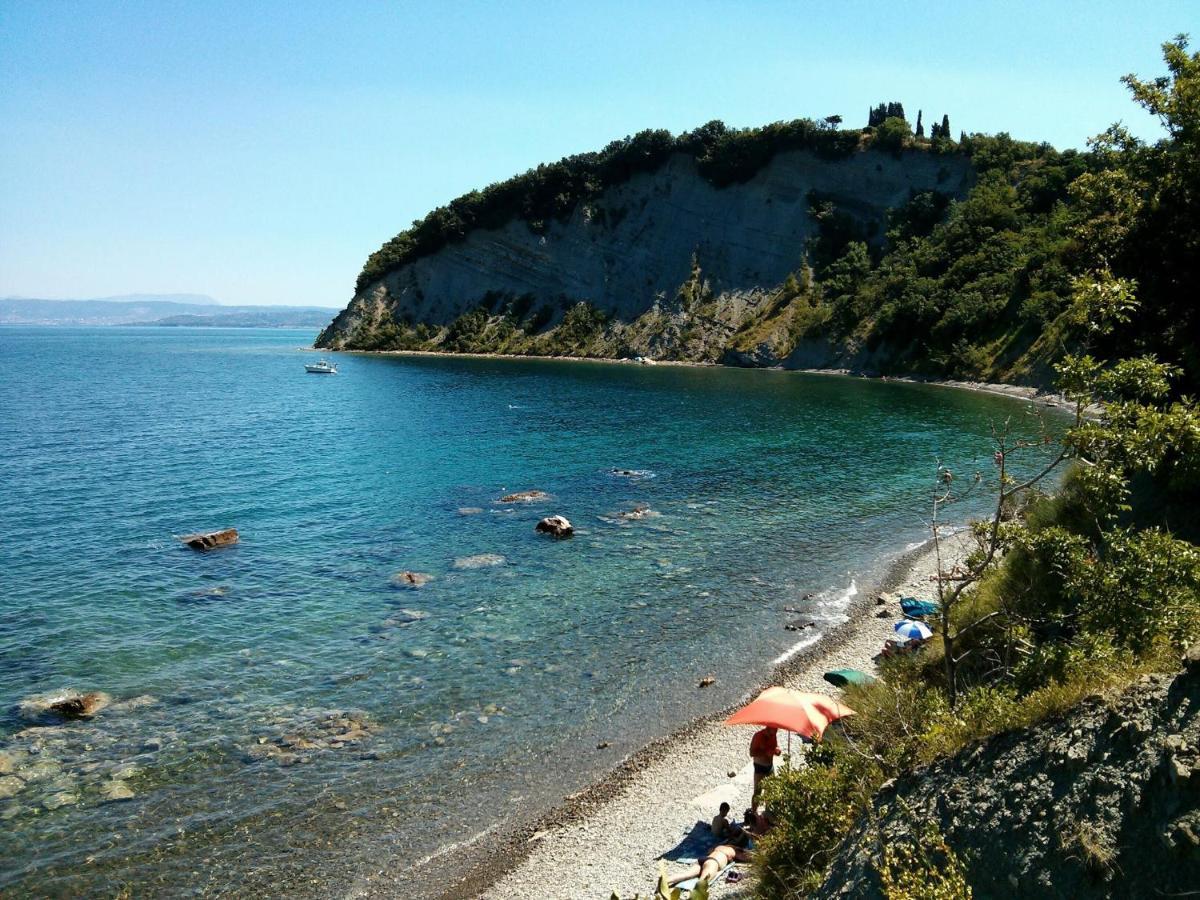 Sea View Istrian Countryside Apartment - Rota Dragonja المظهر الخارجي الصورة